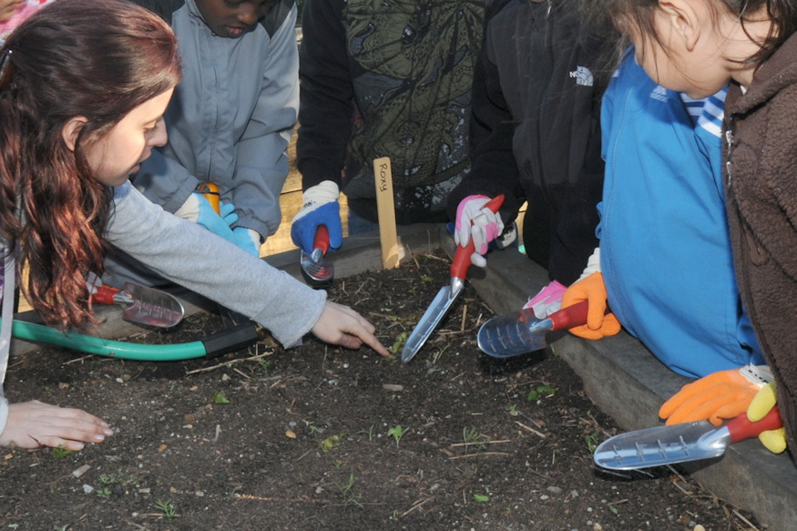 kretat kapara cserelnenk 05