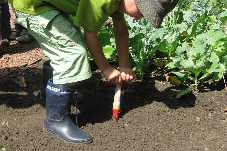 kretat kapara cserelnenk 06