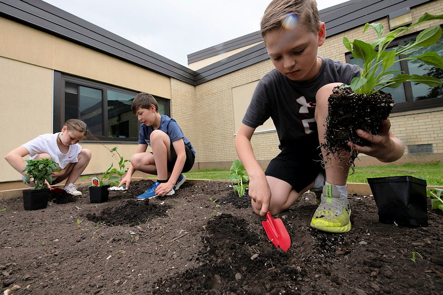 kretat kapara cserelnenk 08