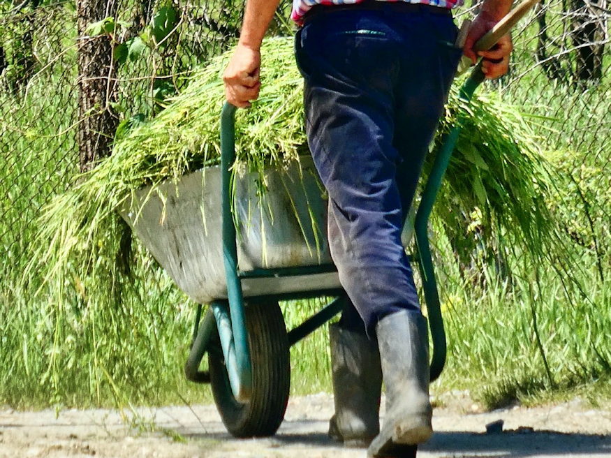 ne ess tulzasba komposztban 02