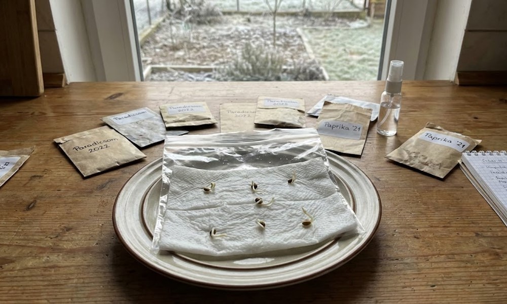 Vetőmag-ellenőrzés február végén – életképesek még a tavalyi remények?